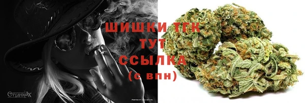 гидра Богданович