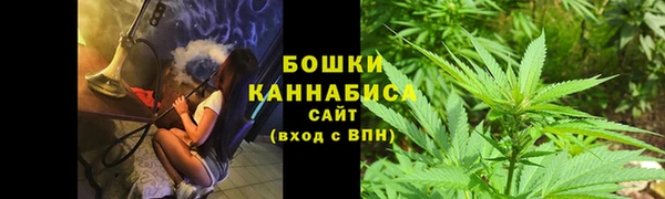 бутират Сатка