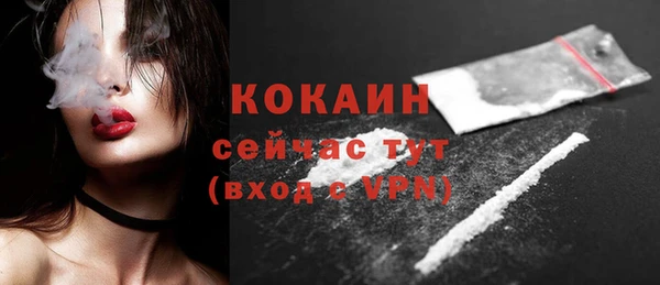 гидра Богданович