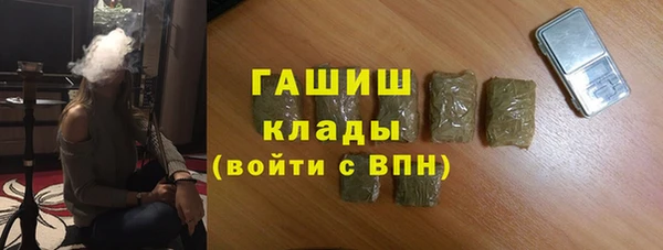 гидра Богданович