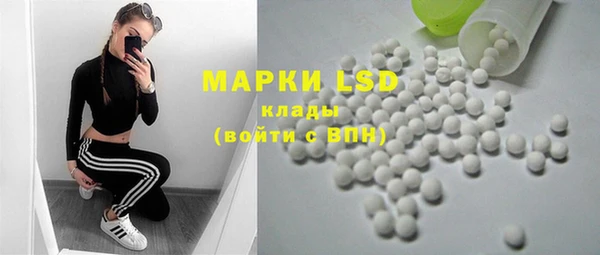 ешки Бородино