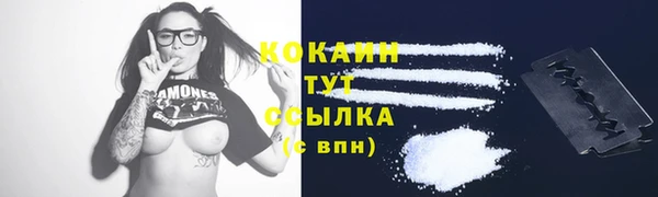ГАЛЛЮЦИНОГЕННЫЕ ГРИБЫ Богородицк