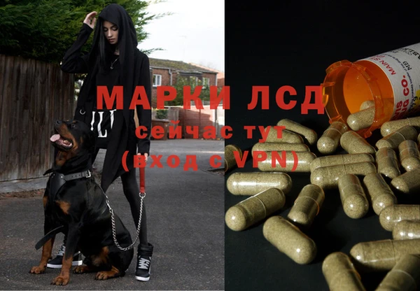 герыч Саяногорск