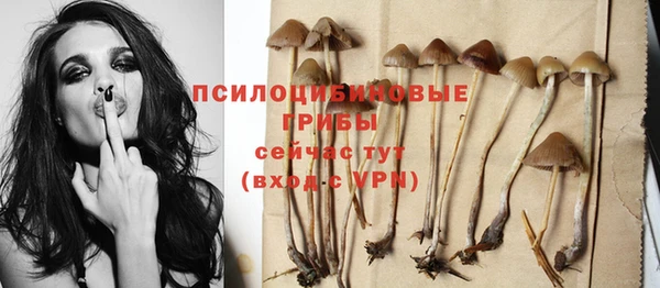 таблы Бронницы